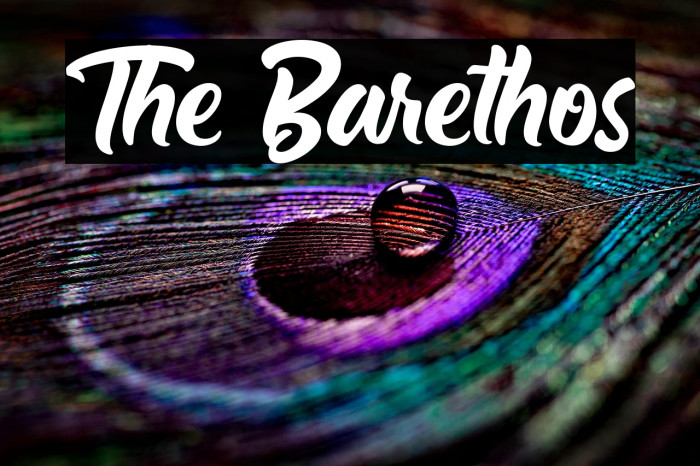 The Barethos Example 1