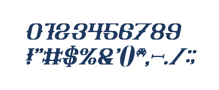 The Bartender Bold Italic Other Characters