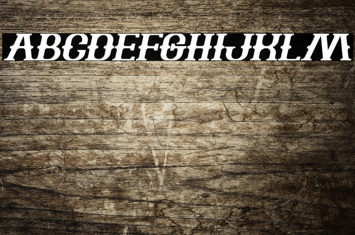 The Bartender Bold Italic Example 2