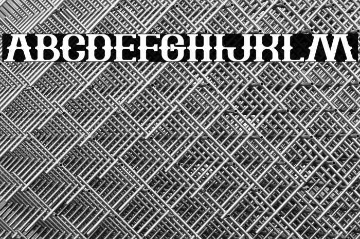 The Bartender Bold Example 1