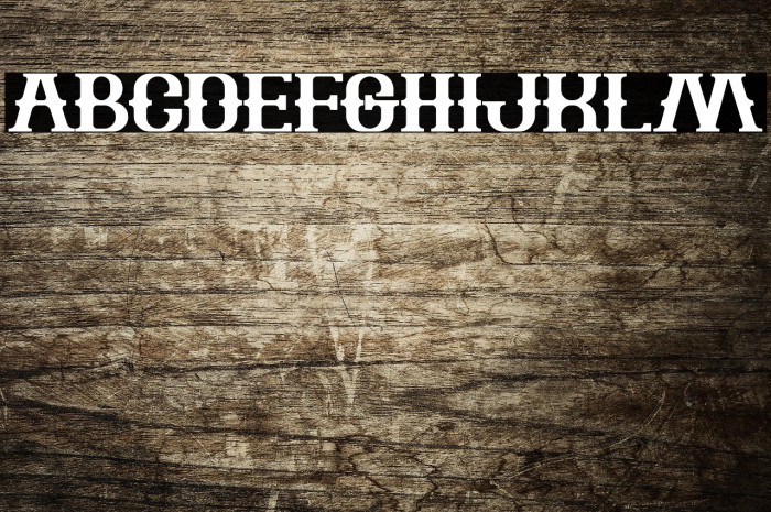 The Bartender Bold Example 2