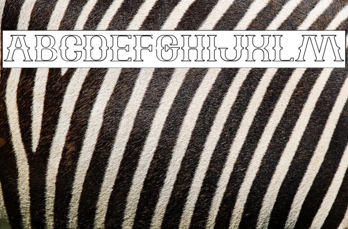 The Bartender-Hollow-Inverse Example 2