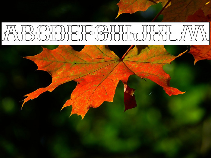 The Bartender-Hollow-Inverse Example 3