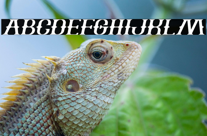 The Bartender Italic Example 2