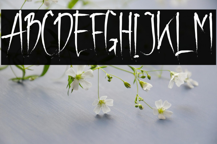 The Bash Singing Slashy Example 3