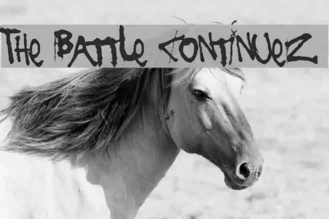 The Battle Continuez Font examples