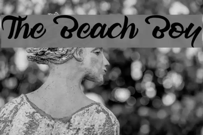 The Beach Boy Font examples