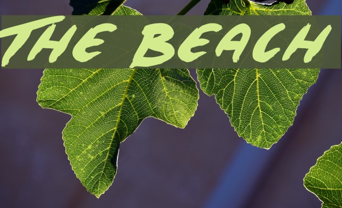 The Beach لخطوط تنزيل examples