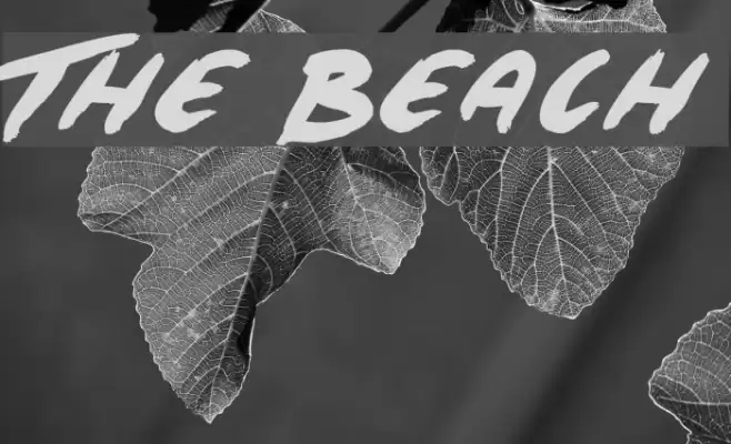 The Beach Font examples