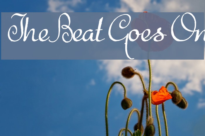 The Beat Goes On Font examples