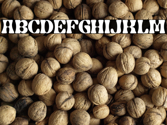 The Beatrik Example 1