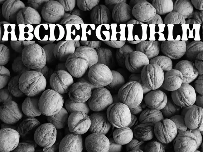 The Beatrik Caratteri examples