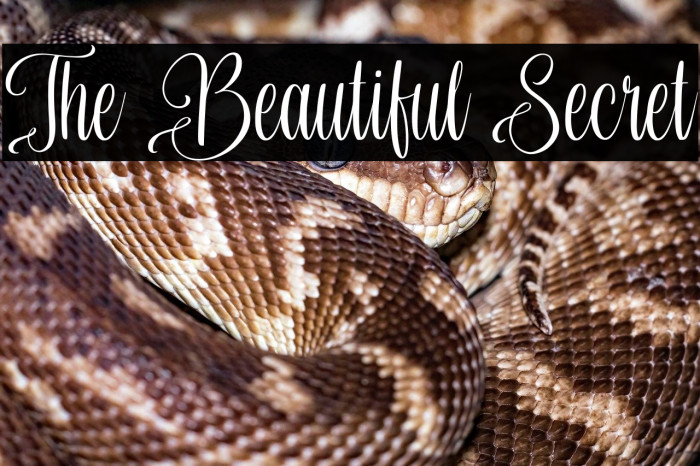 The Beautiful Secret Example 1