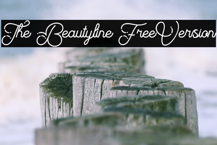 The Beautyline FreeVersion Example 3