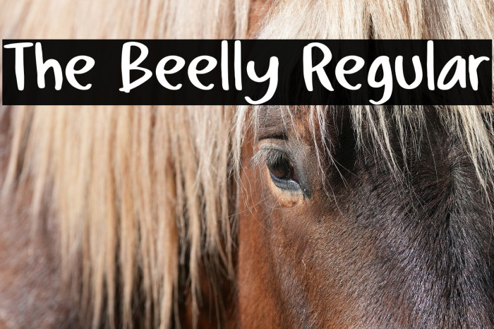 The Beelly Regular Example 1