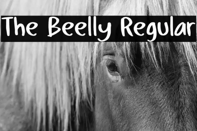 The Beelly Regular Font examples