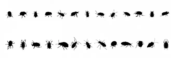 The Beetles Caratteri MINUSCOLO