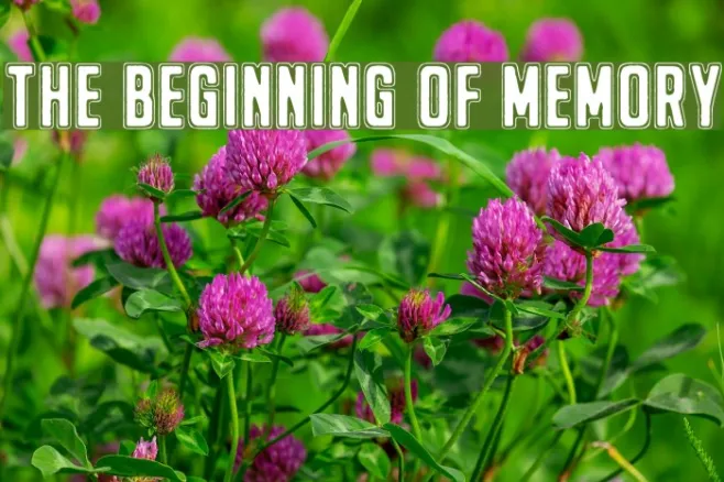 The Beginning Of Memory Example 1