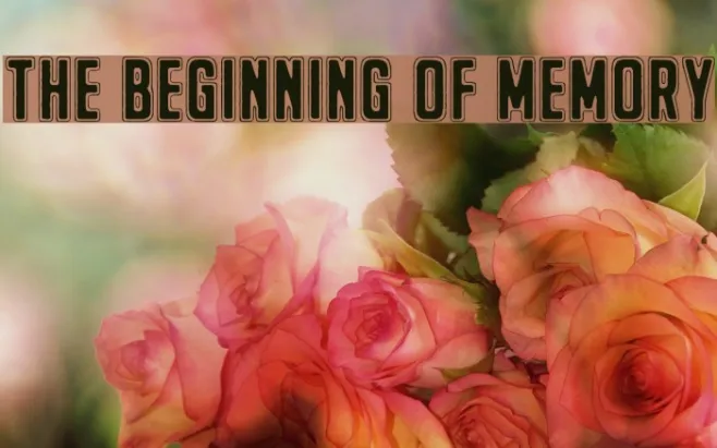 The Beginning Of Memory Example 3