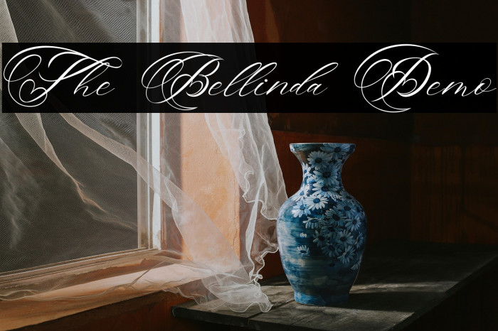 The Bellinda Demo Example 3