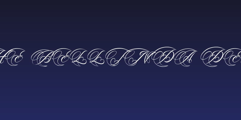 The Bellinda Demo Social Header