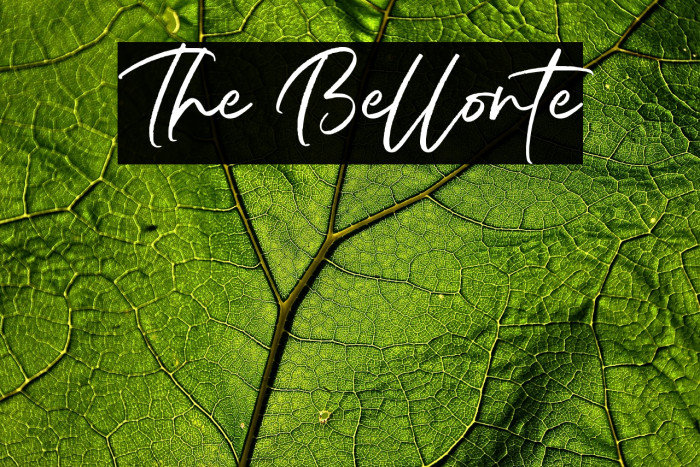 The Bellonte Example 2