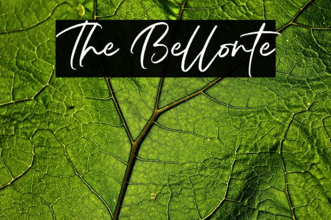 The Bellonte Example 2