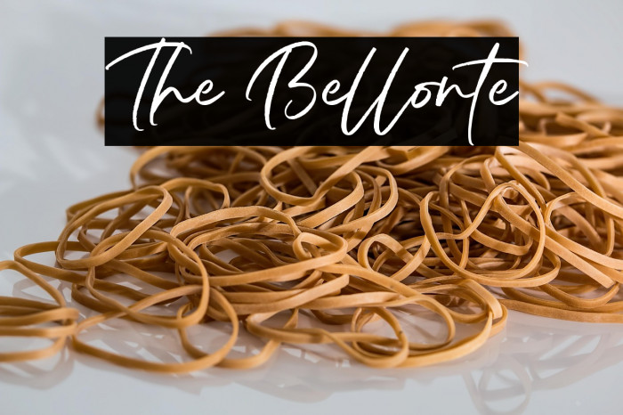 The Bellonte Example 3