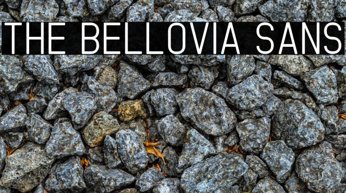 The Bellovia Sans Example 1