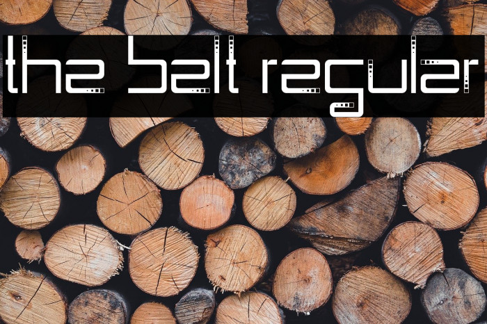 The Belt Regular Example 3