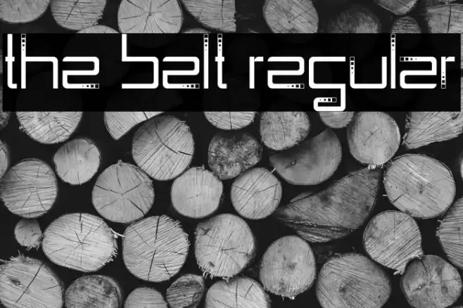 The Belt Regular Font examples