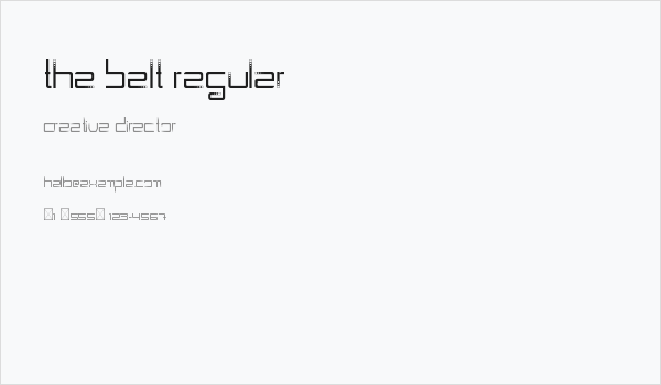 The Belt Regular Business Card