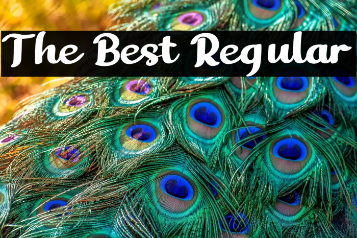 The Best Regular Example 1