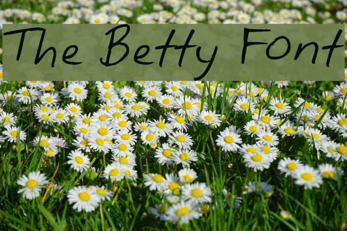 The Betty Font Font examples