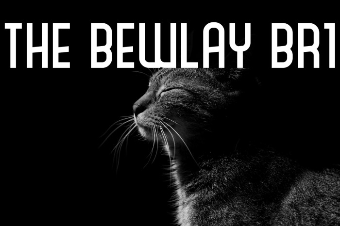 The Bewlay Br1 Example 1