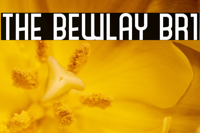 The Bewlay Br1 Example 3