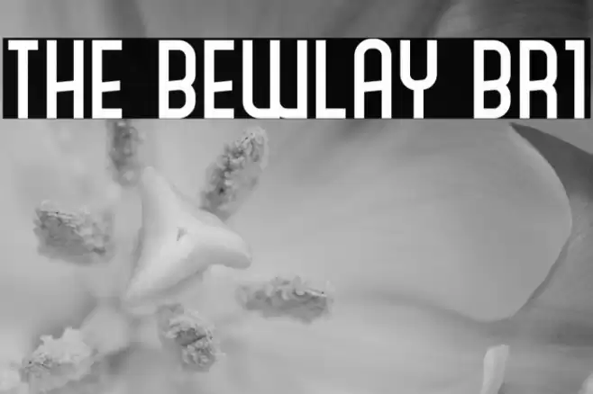 The Bewlay Br1 Font examples