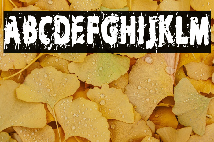 The Biden's Nightmare Example 1