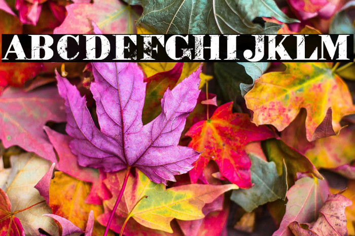 The Big Apple Example 1