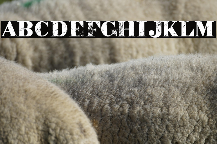 The Big Apple Example 3