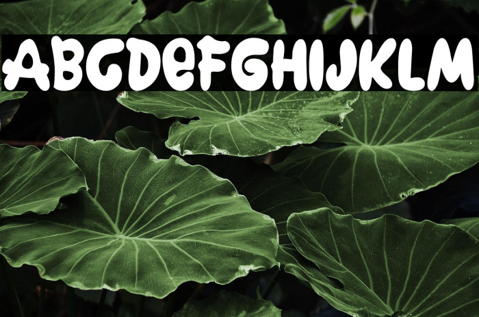 The Big Joe Example 2