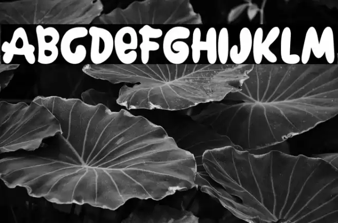 The Big Joe Font examples