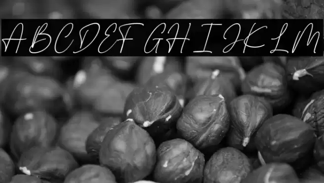 The Bigmaker personal Polices examples