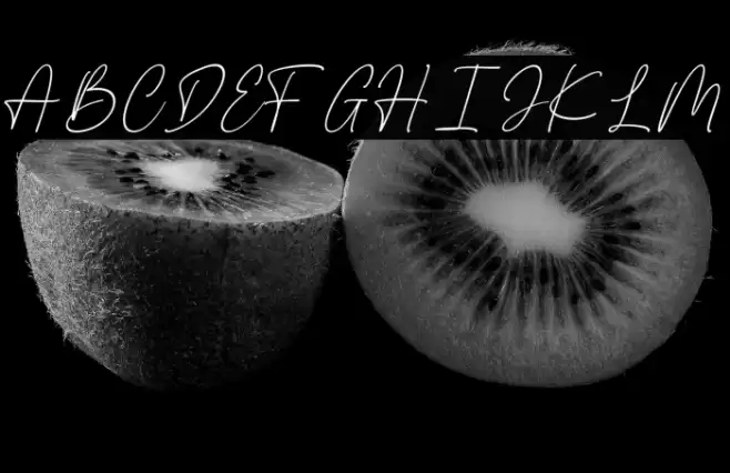 The Bigmaker personal Polices examples