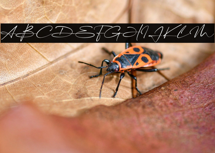 The Billion Example 2