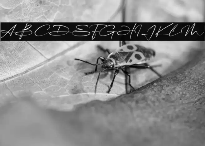 The Billion 字体 examples