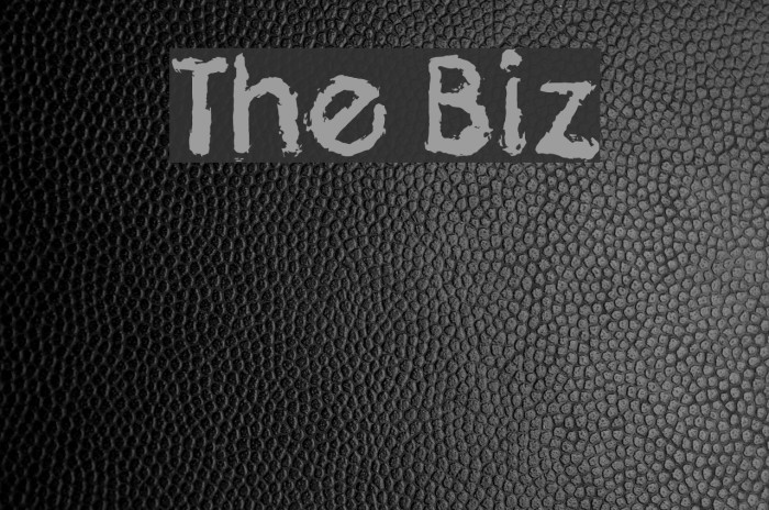 The Biz Font examples