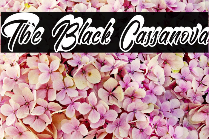 The Black Cassanova Font examples