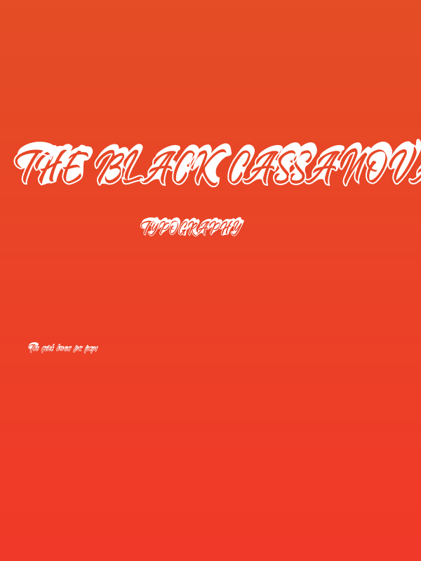 The Black Cassanova Poster