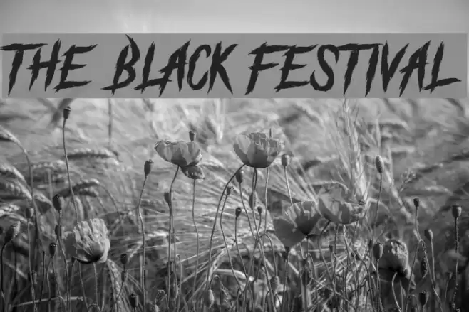 The Black Festival Font examples